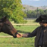 Prendere il cavallo a paddock