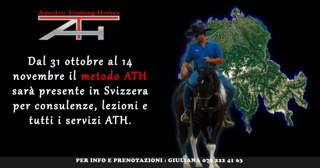 31 OTTOBRE > 14 NOVEMBRE 2020 - ATH IN SVIZZERA