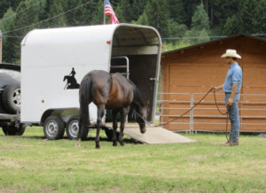 Foto 4 - Lasciamo studiare al cavallo la pedana, prima di affrontarla. Gli risulterà più semplice attraversarla trasversalmente all’inizio.