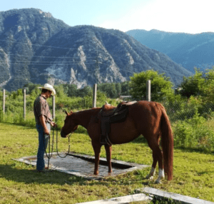 Foto 6 - Ricompensiamo lo sforzo del cavallo con un momento di relax. Abbineremo all’ostacolo una sensazione di riposo e relax.