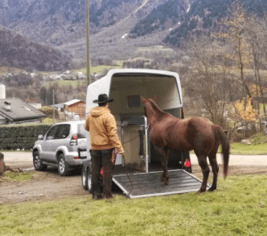 Foto 7 - Non preoccupiamoci inizialmente di dove vorrà salire il cavallo. Lasciamogli scegliere che ritiene più sicuro.