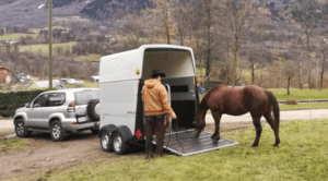 Foto 8 - Mentre il cavallo analizza il mezzo, non applichiamo nessuna pressione. Diamogli il tempo di cui lui necessita, per trovare la sicurezza.