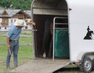 Foto 9 - Una volta che il cavallo è salito, aspettiamo alcuni momenti per vedere se rimane all’interno del trailer di suo volontà.