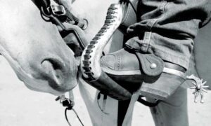 horse biting rider