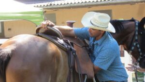 Foto 1 Quali cose dobbiamo controllare prima di acquistare una sella? Scopriamolo insieme a Ilaria Goldoni, saddle fitter.