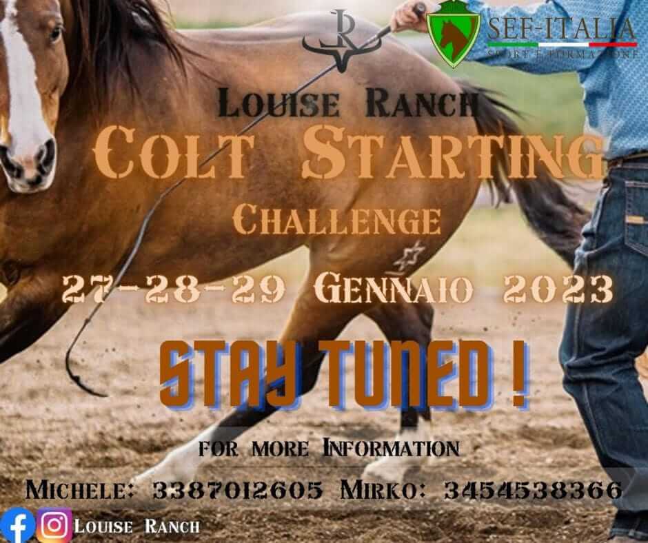 27/28/29.01.2023 - COLT STARTING CHALLENGE - LOUISE RANCH - GENAZZANO (RM)
