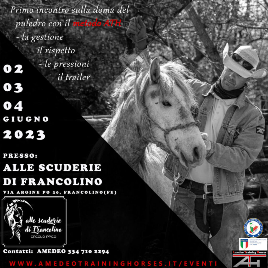 02-03-04.06.2023 - ALLE SCUDERIE DI FRANCOLINO (FE)