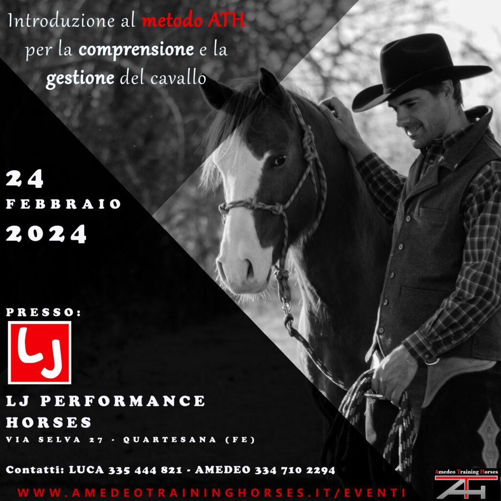 24.02.2024 - LJ PERFORMANCE HORSES