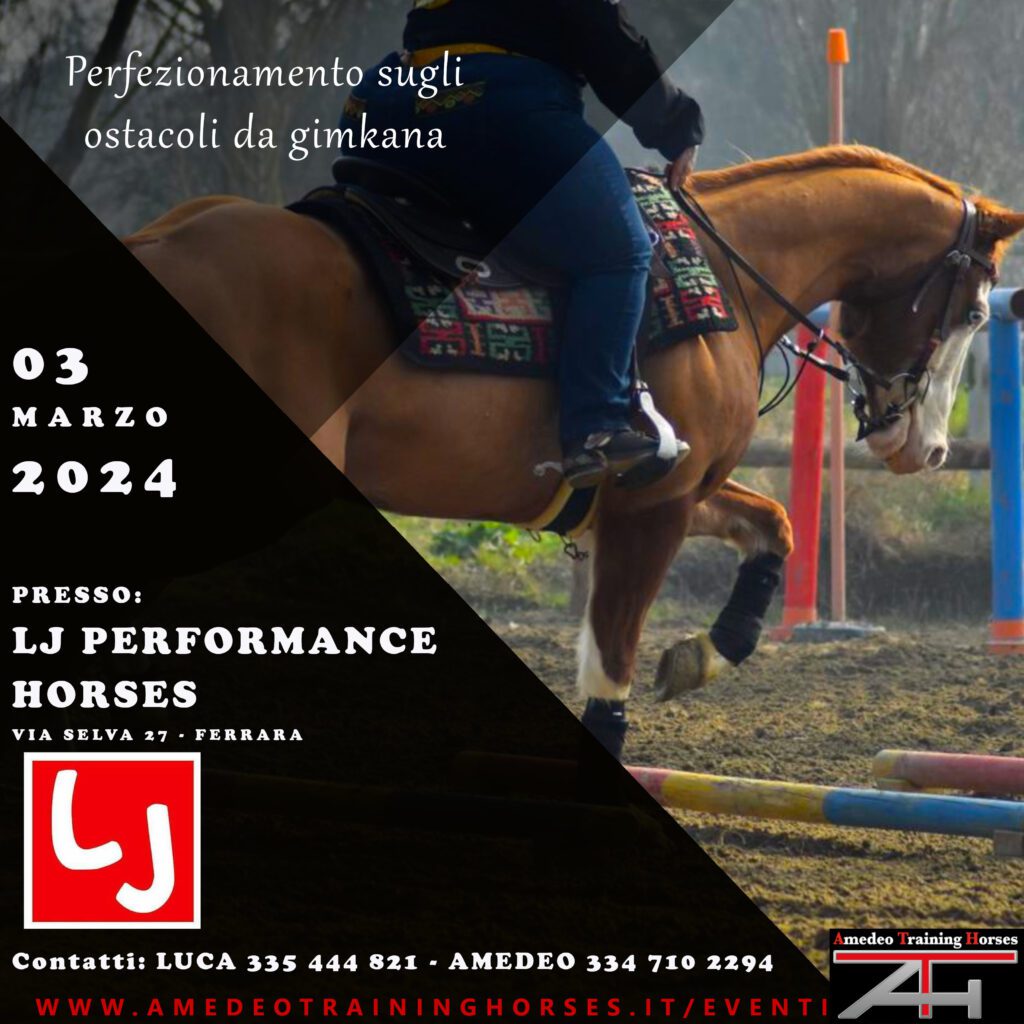 03.03.2024 - LJ PERFORMANCE HORSES