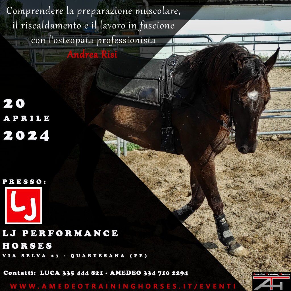 20.04.24 - LJ PERFORMANCE HORSES