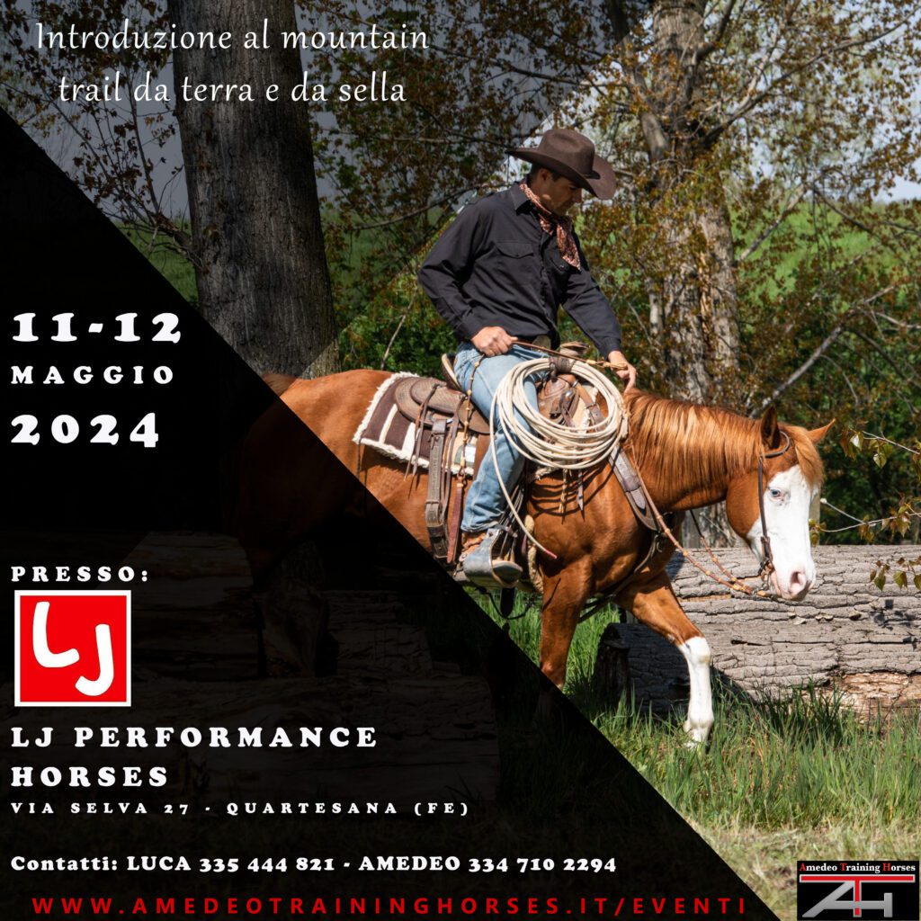 11-12.05.2024 - LJ PERFORMANCE HORSES