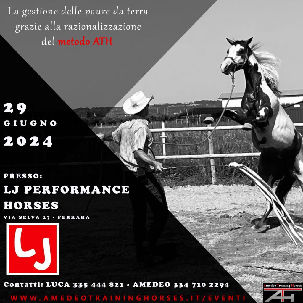 29.06.2024 - LJ PERFORMANCE HORSES