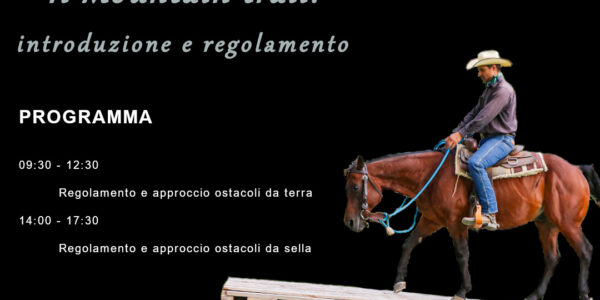 31.05.2025 – LJ PERFORMANCE HORSES