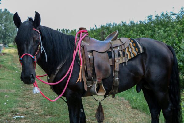 BOSAL PER MONTARE - immagine 9
