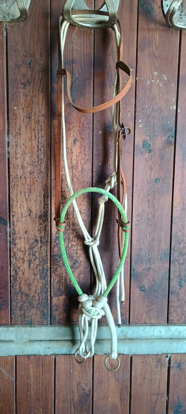 PROTOTIPO KIT BOSAL ATH FASCIONE XL