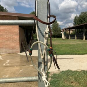 Prototipo ATH bosal per montare + testiera + fiador