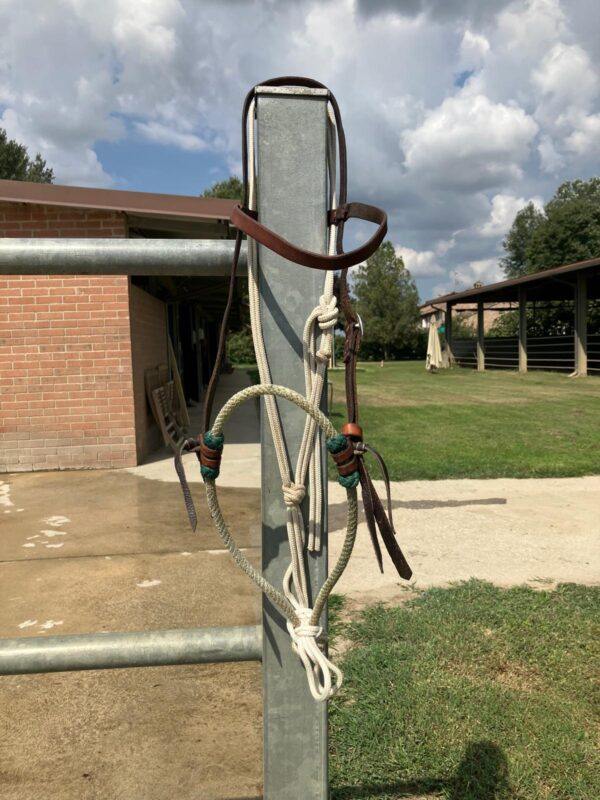 Prototipo ATH bosal per montare + testiera + fiador