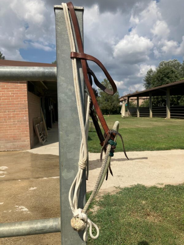 Prototipo ATH bosal per montare + testiera + fiador - immagine 4
