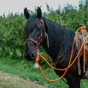 ATH riding bosal kit