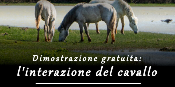 25.10.2026 – RISERVA NATURALE FOCE DELL’ISONZO